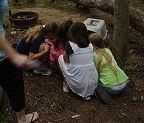 Girl Scouts